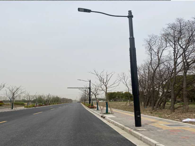 仲巴县上海综合杆 太阳能路灯工程